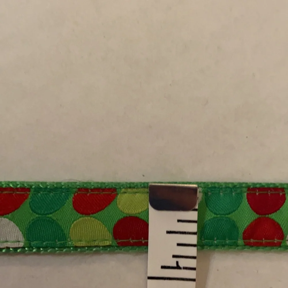Dog Collar and Small Tie-Out